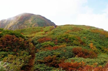 雨飾山はちょっとずつ、部分部分で紅葉が始まってた…

毎年3か月に一回ペースで海外だったので、日本の季節の移り変わりをこんなにも肌で感じながら過ごせた日々は初め...