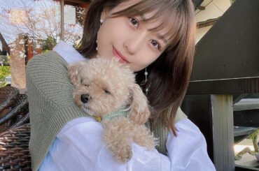 愛おしいの極み
#トイプードル #もなか...