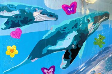 福岡で見つけた可愛い壁
福岡旅行楽しかったな〜！
動画お楽しみにっ...