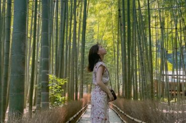 Kamakura
・
自然の力に癒される
・
#鎌倉 #kamakura #報国寺...