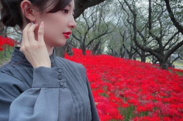 ここの彼岸花すっごく綺麗だった〜
.
.
 #16日は十夢の日  #photography  #彼岸花 #曼珠沙華  #flower  #autumn #nos...