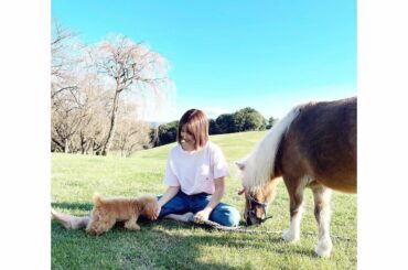 おはようございます
なんだか急に寒くなってきたから皆さん体調崩さないようにご自愛くださいね

写真は先週のまだ暖かかった日に、ミニチュアホースのおばあちゃん馬「...