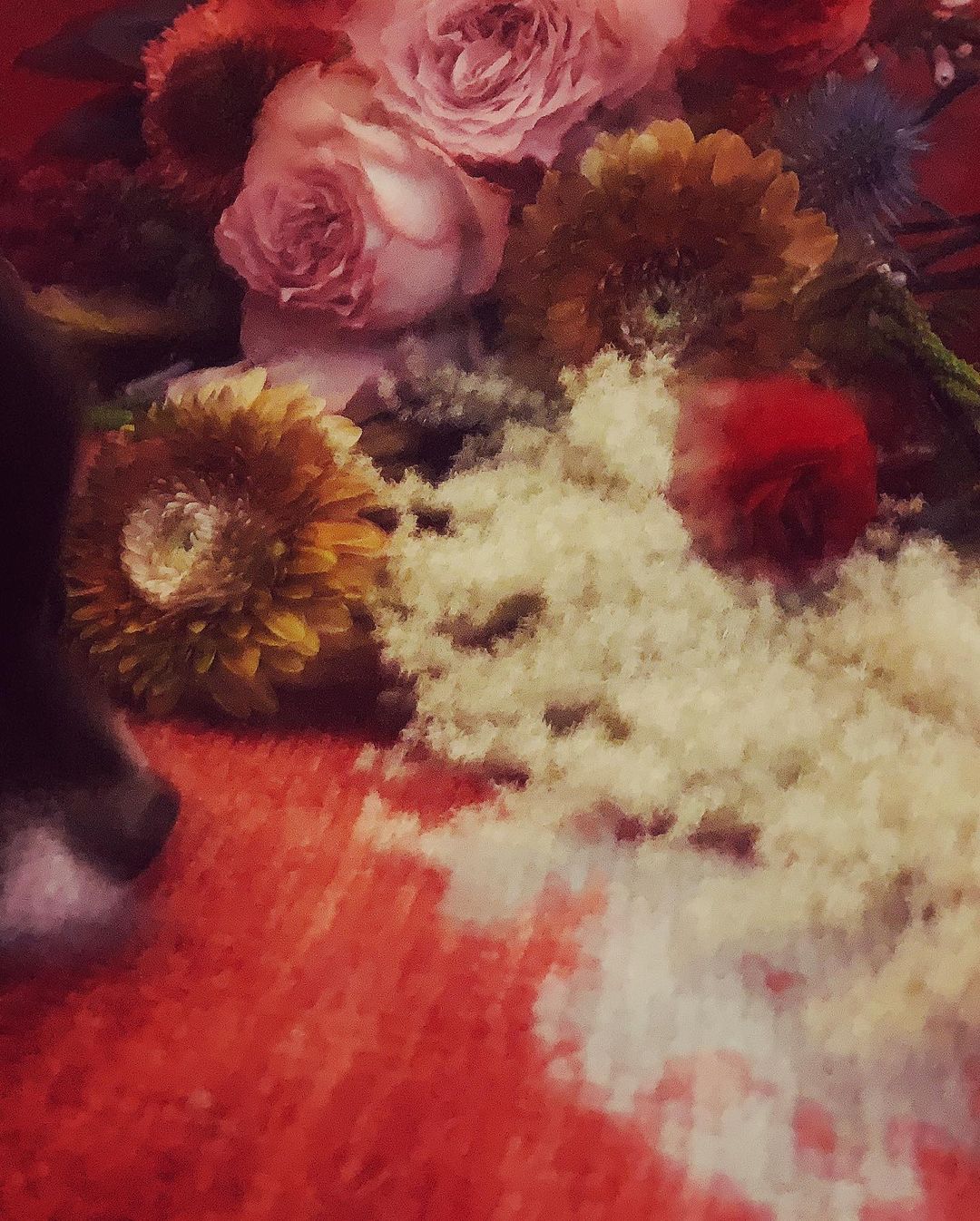 山本美月 可愛すぎるお花 可愛い可愛いって撮ってたら9割ブレてた Moe Zine