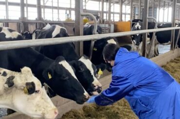 北海道旅記録

(音有りで見てね)

伊藤牧場さんにて乳搾り体験をしました
その前に牛舎を見学させていただき
乳牛についての説明などを伺いました。

そして牛さ...