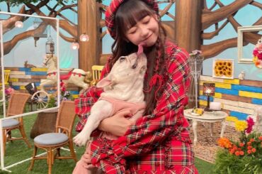 #どうぶつピース 見て下さった皆さんありがとうございました！

ぴーす君が可愛すぎて！！！
オフショットどうぞ‪‪︎‬
ゲストでご一緒させて頂いた 黒木華...