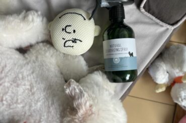 .
昼間に沢山遊んで疲れた頃、
飼い主はお掃除です
最近お試し中の犬用ファブリック♪

︎MOUNTAIN FIELDS ORGANIC
犬用 ナチュラルデオス...