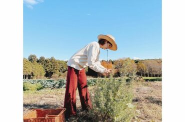 今日のカフェドリンク用のフレッシュなローズマリーとミントを採りに
今日もいいお天気でよかった
@nasufarmvillage...