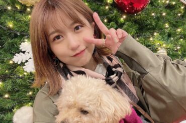 クリスマスツリーみっけた♡
撮影者パパ
#もなちゃんつまらなそう...