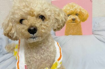 .
もなちゃんの似顔絵を描いていただきました

おやつ見せながら
写真撮るの大変だったー

素敵な似顔絵本当に嬉しかったです
宝物♡

@draw_pet8 
...