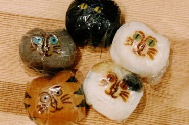 猫子まんじゅう
メイクのアサミさんからいただきました！
お母さまのご実家が和菓子屋さんだそうで！！
⁡
個性的なネコちゃんのお饅頭〜！
味もいろいろ！
かわいい...