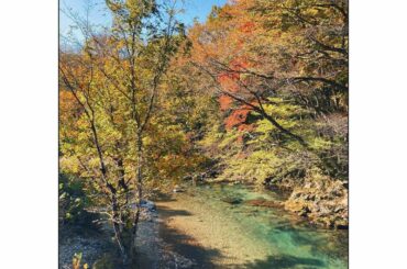 先月の栃木。久しぶりに自然に囲まれたなり。...