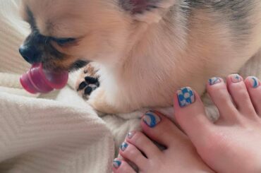 Foot Nail


@chipieee_nail_mika さんにして頂きました︎︎
@chipieee_ebisu
#ネイル #フットネイル...