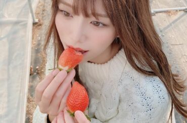 バスツアー中

いちご狩りで何個食べられるか勝負しよって言ったら断られた

かわいいお洋服は @lucepopo_official ...