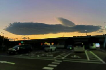 .

クジラみたい...