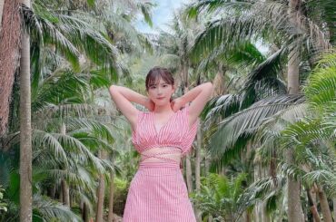 最近 もみの木だらけだから
ヤシの木！...