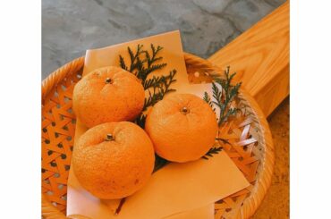 冬至の柚子風呂

身体を温めるゆず湯に入って、無病息災を願いながら寒い冬を乗りきって欲しいと、息子たちがお風呂に入ったタイミングで持って行ったのですが、この数分...