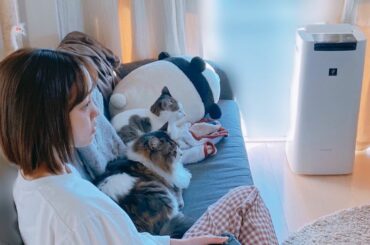 テイルズオブアライズをやる私とそれをみるテトみーこ。
#休日 #はいつも #これくらいゆるい格好で #めちゃすっぴん 
#テイルズオブアライズ #toarise...