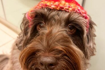 Merry Christmas  I hope your day will be full of love and happiness 

メリークリスマス 
...