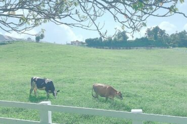 *
*
今年ももう少しという事で
ここにきたコメントに返信します〜！
*
*...