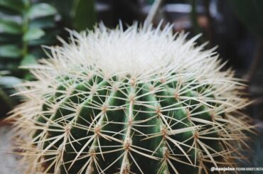 【A Tiny Winter Story】
#オフショット
ちくちく...