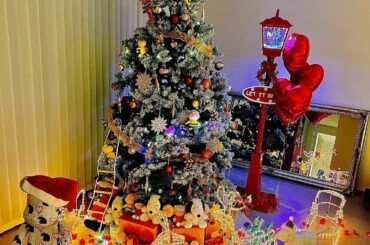 12月の趣味はツリーを可愛くすることでした
昨年よりも可愛く出来たあ
片付けるのが勿体無いけどまた来年もっと可愛くする！！
ばいばーい...