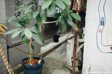 【A Tiny Winter Story】
#オフショット
ネコチャン...