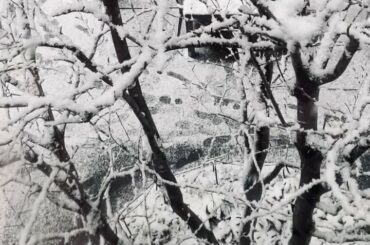 また雪降らないかなぁと写真やら動画を日々眺めております。最近インスタに全く文字を載せない人をやっていたら、インスタに全く文字を載せられない人になってしまいました...