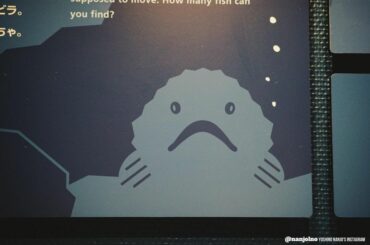 【A Tiny Winter Story】
#オフショット
なんだこれは‥何で撮ったのかわからない写真あるある...