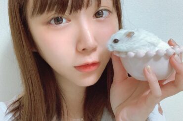 ぱりゅちゃん、日に日に甘えん坊ちゃんになってる気がする
下まつげがすんごい長いの!! 
やっぱり女の子なんだなぁと。。
 
 schedule 
♡: 1/22...