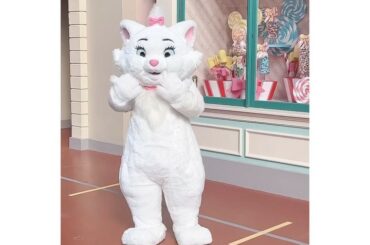 ㅤㅤㅤㅤㅤㅤㅤㅤㅤㅤㅤㅤㅤㅤㅤㅤㅤㅤㅤㅤㅤㅤㅤㅤㅤㅤ
かわいいいい

初めて遭遇したキャラクターが

大大大好きなマリーちゃんだなんて。
今年は良い年になりそう...