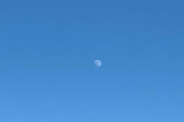 お昼間に見た月が綺麗だった。
久しぶりに絵を描いてみたら楽しかった
美味しいご飯を食べれた
そういうの、ひとつずつ
幸せだよなあと噛み締めている最近。
⁡
今日...