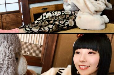 (=^ェ^=)(｀めνめ)
.
.
.
NEWS

神奈川テレビ「かがやけ！ミラクルボーイズ」ナレーション
1/20(木)24:30〜(毎週木曜放送)
tvk-...