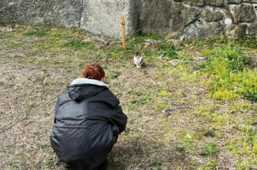 ⁡
それ以上近寄るなと
言われた気がした
⁡
#撮影 #オフショット #ネコチャン...