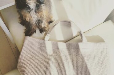 .
新しい大きめのヌビバッグをゲットしたよ
@marche_mojiko 
韓国のものなんだけど韓国のお布団に施されていた差し刺繍加工
キルティングなのでしっか...