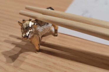 .
この間は初めての関内へ
@ushiurara_yokohama で３人でご飯してきたよー!!
肉割烹って初めてだったかも
お肉だけでなく鮪やホタテなどの魚介...