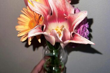 この前の撮影で卒業おめでとうのお花をいただきました
花瓶に挿したら花びらが開いて感動した
ちゃんと生きてるんだね...