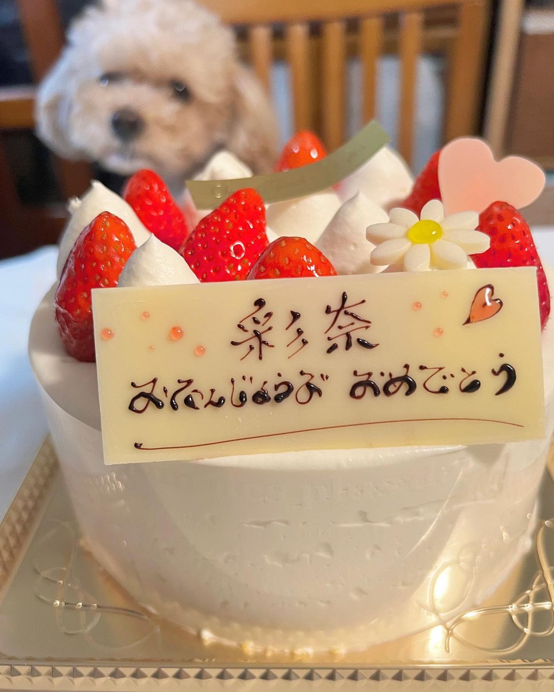 篠崎彩奈 パパとママが１ヶ月遅れで お誕生日お祝いしてくれました 26歳のろうそく買おうかと思ったけど かわいそうかなと思ってやめたよ かわいそうとはどうい Moe Zine