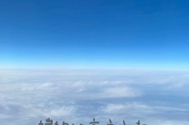 ＃大橋ちっぽけ
＃常緑...