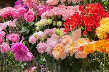 あまり更新できなくてすみません

今日は、久々にお花を…‪‪𓂃 𓈒𓏸

お花屋さんは、
見ているだけでも癒されます…

#flowerstagram 
#お花の...