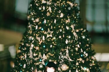 絶対クリスマスに載せるべきだった写真笑
遅くなっちゃったけど…せっかくなので

#今頃 #クリスマス写真 
#クリスマスツリー #綺麗だった...