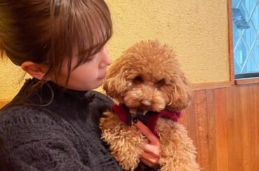 モジャ子とデート

もっと犬が入れるお店たくさんできて欲しいねぇーって︎...