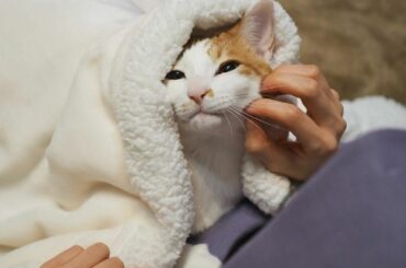 2022.02.22 22:22 ...