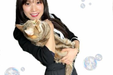 ⁡
愛猫ロアちゃん。
⁡
半年ぶり…かわいすぎたよ、、、
⁡
⁡
⁡
#juicejuice #稲場愛香 #まなかん #アイドル #idol 
#愛猫 #ロア...