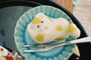 お目にかかれて光栄です
お猫さま！！！感謝

#20220222...