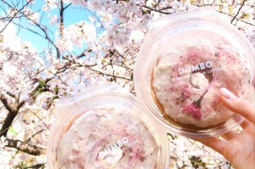 3月よろしくお願いします
⁡
⁡
お仕事を頑張って、
大好きな桜味も楽しみたいな
⁡
⁡
⁡
#3月 #桜 #桜ドーナツ #dumbo #お花見...