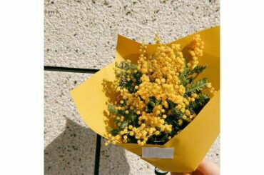 *
この前買った #ミモザ
黄色は元気をもらえる気がします

#ミモザの日#国際女性デー##花のある暮らし...