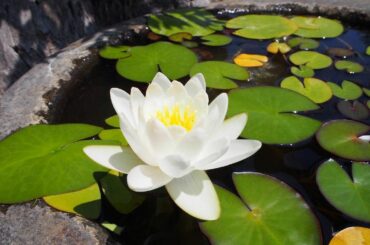 *
大学に入学する春に
東日本大震災が起こったので、
東日本大震災から11年、というのは
上京してから11年、でもあるんだなと
アナウンサー上京物語を書いたとき...