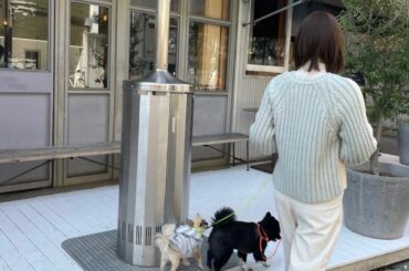 きもちいいね〜
天気もいいとお散歩もたのしい

#ポメラニアン #黒ポメ #Pomeranian
#ロングコートチワワ #チワワ #Chihuahua...