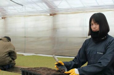 ㅤㅤㅤㅤㅤㅤㅤㅤㅤㅤㅤㅤㅤ
現在、農家さんの元で研修中です
ㅤㅤㅤㅤㅤㅤㅤㅤㅤㅤㅤㅤㅤ
新しい事を始めるのはとても大変ですが、毎日学ぶ喜びを感じつつ幸せに暮らし...