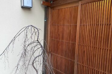 京都投稿続き
インスタこれから沢山投稿したいから色々載せてみようと思う！
とか言っても直ぐ放置してまうけど笑

旅の醍醐味、夕食は親友が予約してくれた杦さんへ
...